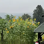 Beautiful 1 Bedroom Among Fields Σπίτι διακοπών *